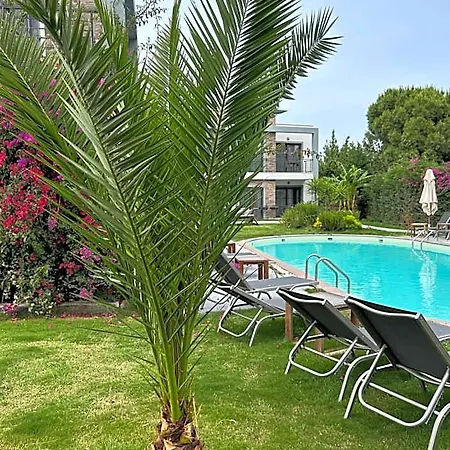 Malta Bodrum Türkbükü