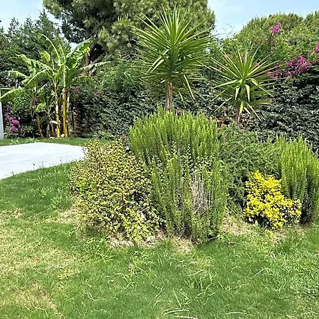 Malta Bodrum 4* ゴルトゥルブク